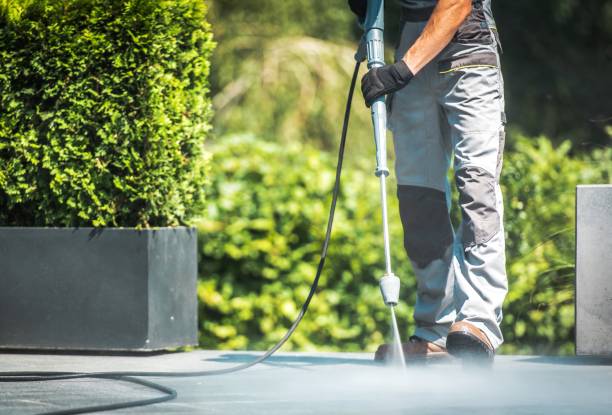 Best Fence Cleaning  in Vley, AL